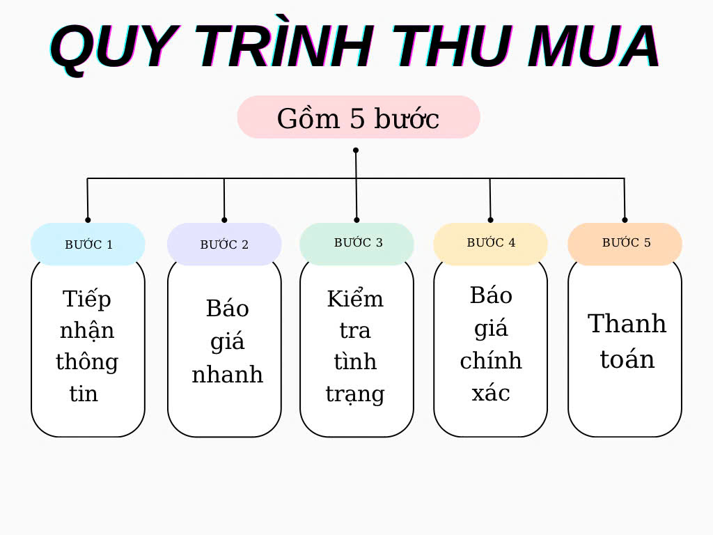 Quy trình thu mua nhanh chóng- hữu ích được áp dụng trong mọi dịch vụ