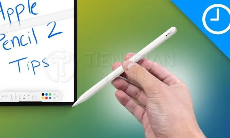 Apple Pencil 2 Chính Hãng – Bút Cảm Ứng Cho iPad