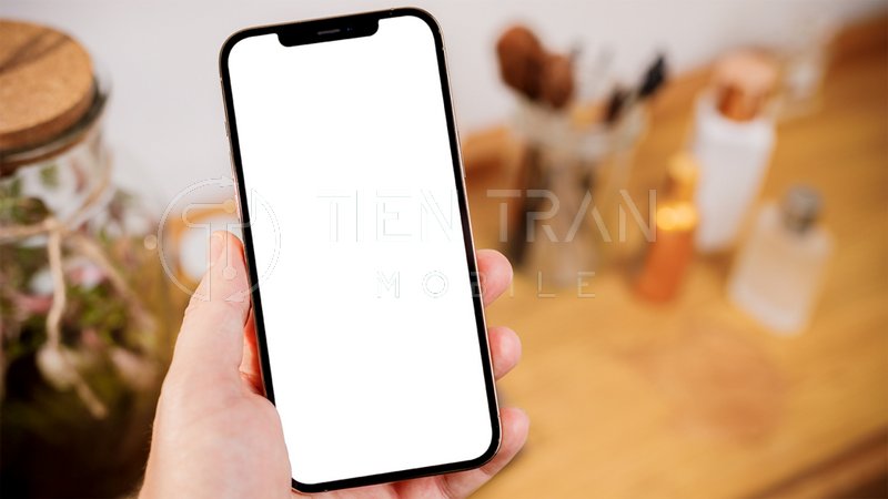 iPhone Bị Trắng Màn Hình? Nguyên Nhân & Cách Khắc Phục