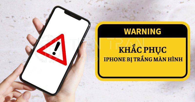 iPhone Bị Trắng Màn Hình? Nguyên Nhân & Cách Khắc Phục