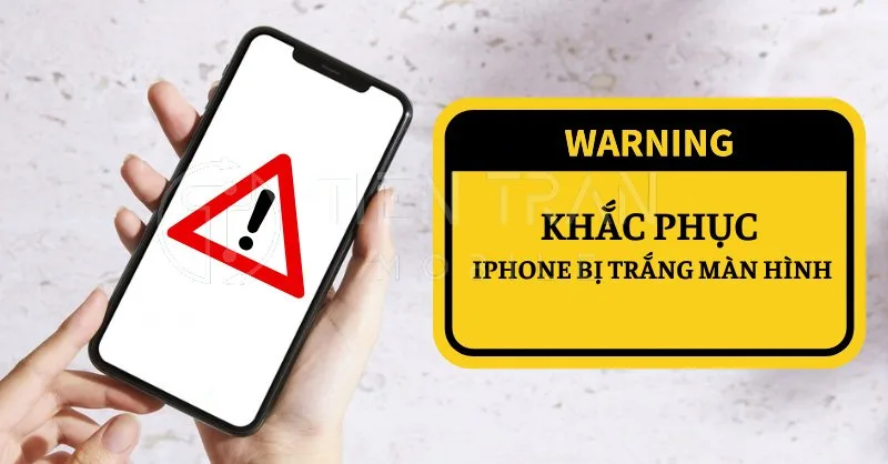 iPhone Bị Trắng Màn Hình? Nguyên Nhân & Cách Khắc Phục