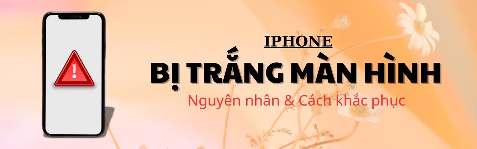 iPhone Bị Trắng Màn Hình? Nguyên Nhân & Cách Khắc Phục