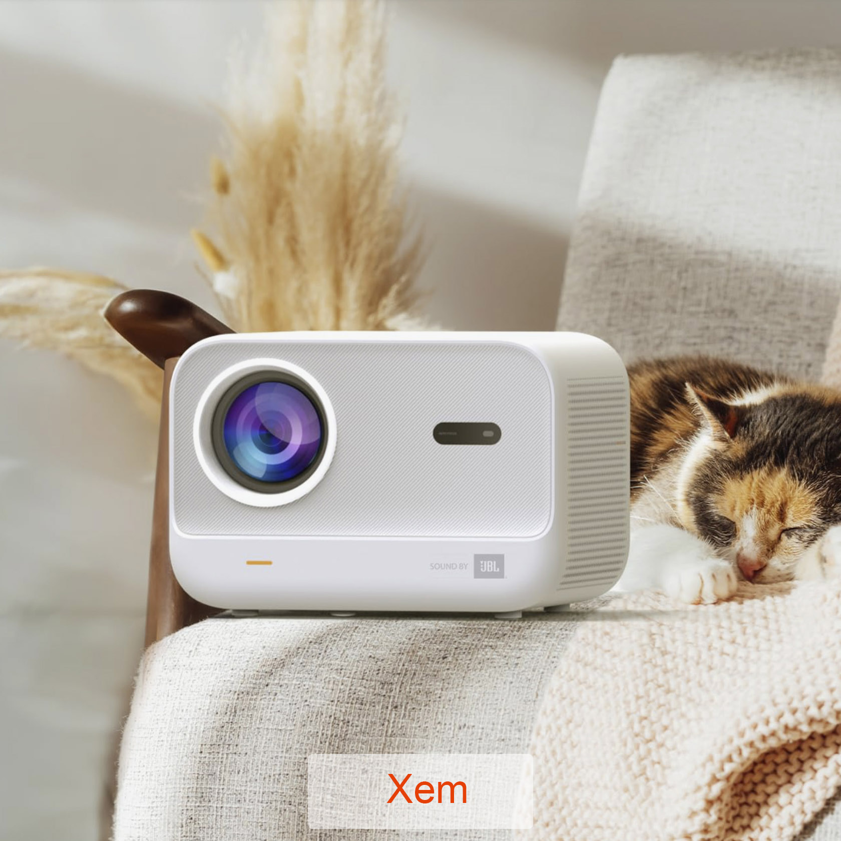 Thu Mua Đồ Công Nghệ Cũ - Định giá nhanh sau 1 tin nhắn 135 May chieu Mini 1