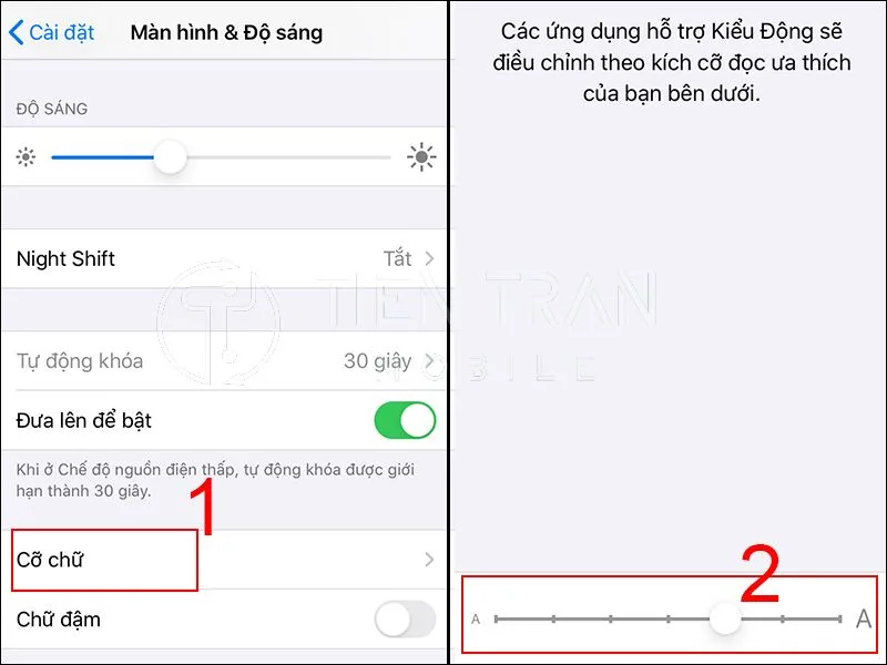 Chỉnh Cỡ Chữ iPhone Nhanh Chóng, Hiệu Quả Không Cần App
