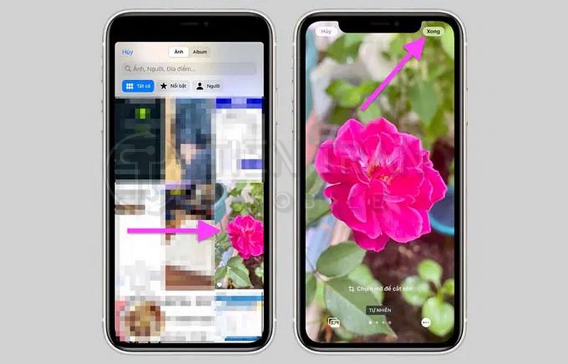 Cách Đặt Nhiều Ảnh Làm Hình Nền Điện Thoại iPhone Dễ Nhất