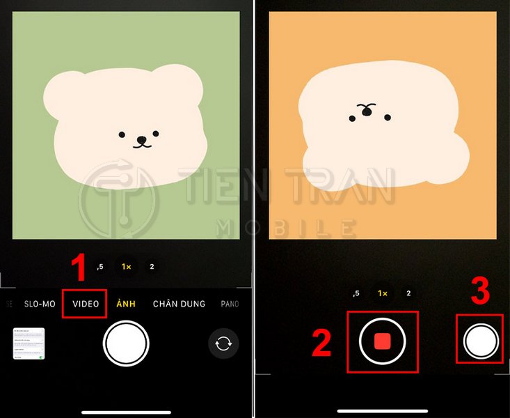 Tắt Âm Chụp Ảnh iPhone Cực Dễ Với 7 Cách Hiệu Quả 2025