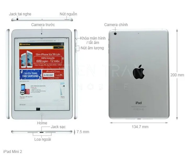 Bảng So Sánh Kích Thước iPad Các Dòng Mới Nhất 2025 11 Bảng So Sánh Kích Thước iPad Các Dòng Mới Nhất 2025