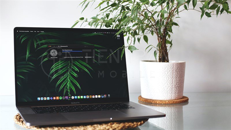Mua MacBook Ở Đâu Uy Tín? Top Địa Chỉ Nên Tham Khảo 9 Mua MacBook Ở Đâu Uy Tín? Top Địa Chỉ Nên Tham Khảo