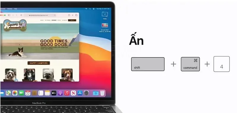 Cách Cắt Ảnh Trên MacBook Nhanh Gọn Chỉ Trong Vài Giây