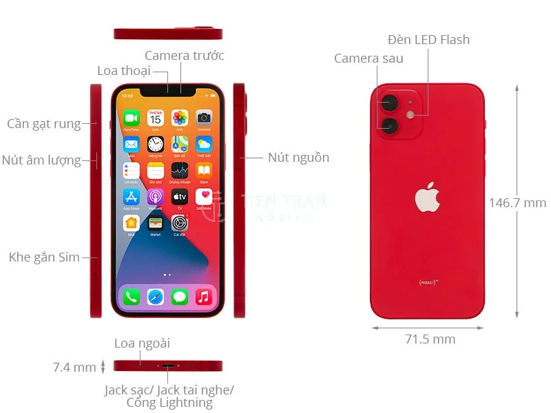 iPhone 12 64Gb Pin 100 VN Máy đẹp 99