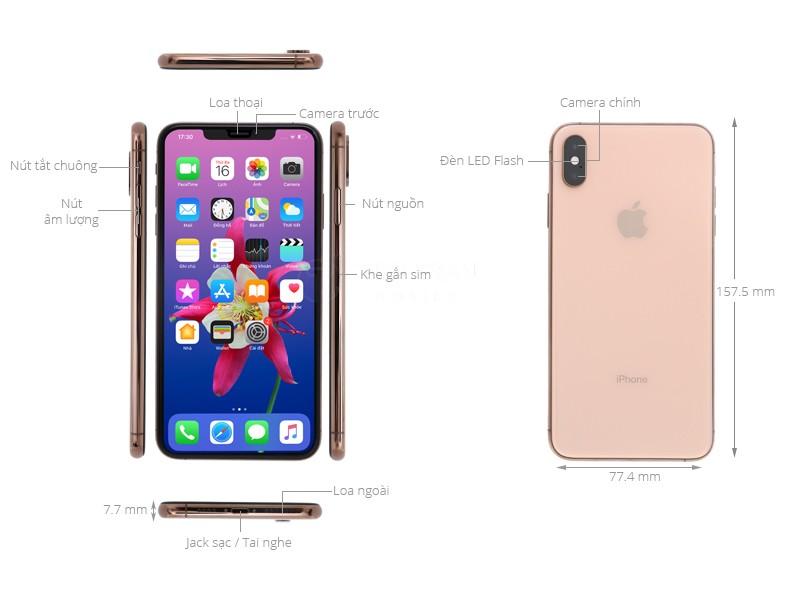 iPhone XS Max Có Mấy Màu? Chi Tiết Từng Phiên Bản 16 iPhone XS Max Có Mấy Màu? Chi Tiết Từng Phiên Bản