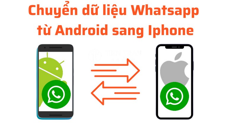 Khôi Phục Tin Nhắn WhatsApp Từ Android Sang iPhone Dễ Nhất