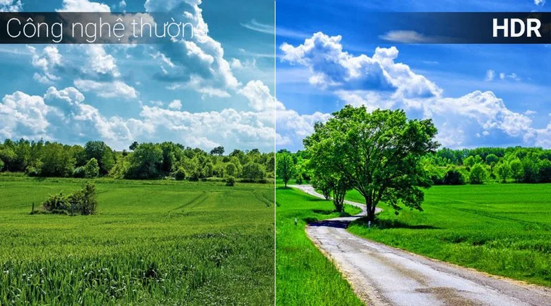 HDR Trên Màn Hình Là Gì? Công Nghệ Hiển Thị Sáng Đẹp Hơn