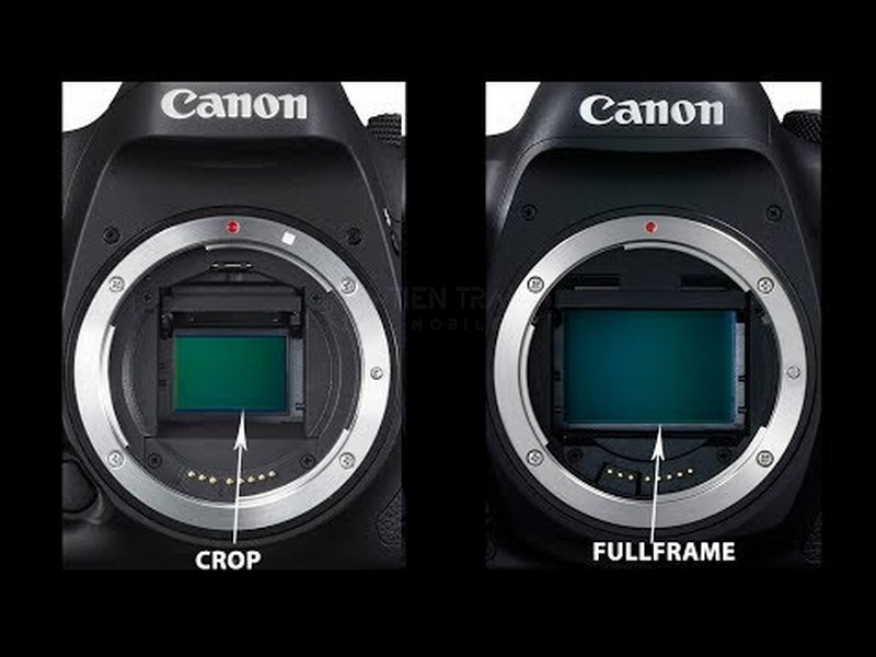 Máy Ảnh Full Frame Là Gì? Có Gì Hơn APS-C? 12 Máy Ảnh Full Frame Là Gì? Có Gì Hơn APS-C?