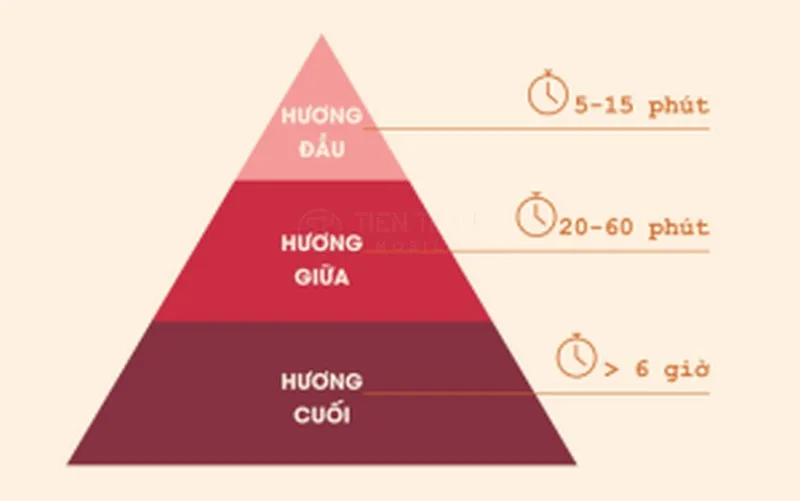 Mùi Hương Liner Và Non Liner Là Gì? Hiểu Đúng Nước Hoa