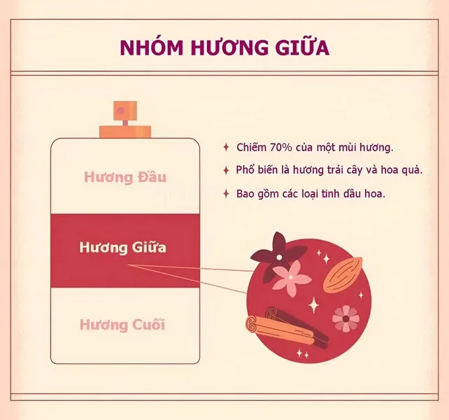 Mùi Hương Liner Và Non Liner Là Gì? Hiểu Đúng Nước Hoa