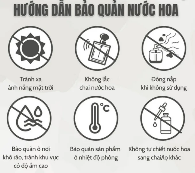 Mùi Hương Liner Và Non Liner Là Gì? Hiểu Đúng Nước Hoa