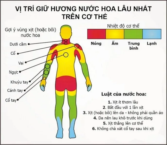 Nên Xịt Nước Hoa Vào Đâu Để Thơm Lâu Và Đúng Cách?