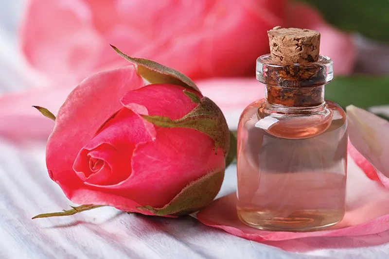 Nước Hoa Nào Không Gây Dị Ứng? Gợi Ý An Toàn Nhất