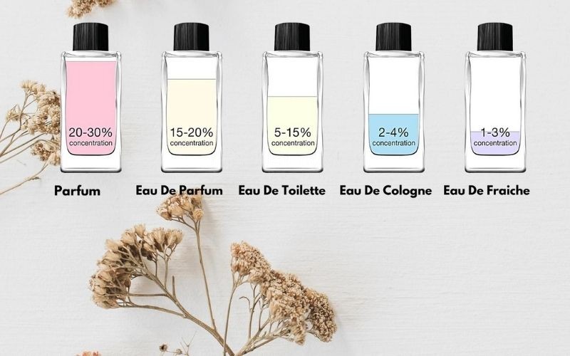 Phân Loại Nước Hoa: Hiểu Đúng Để Chọn Mùi Phù Hợp 10 Phân Loại Nước Hoa: Hiểu Đúng Để Chọn Mùi Phù Hợp