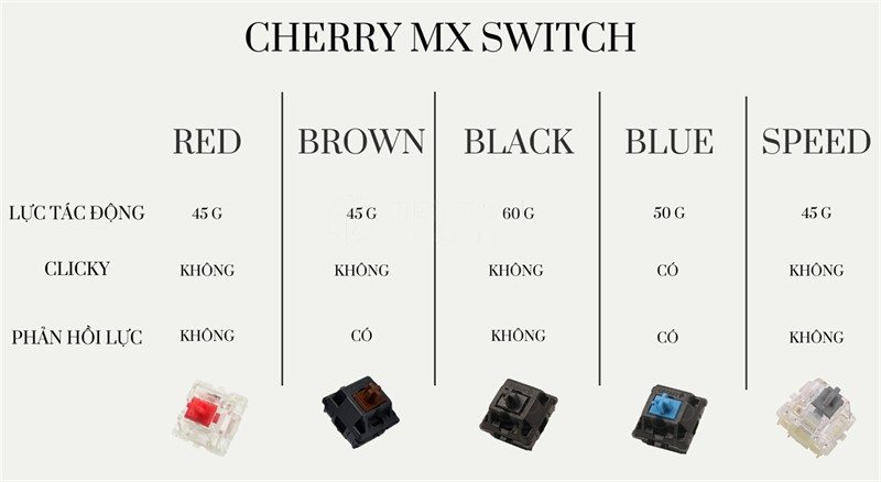 Switch Bàn Phím Là Gì? Trái Tim Của Bàn Phím Cơ 14 Switch Bàn Phím Là Gì? Trái Tim Của Bàn Phím Cơ