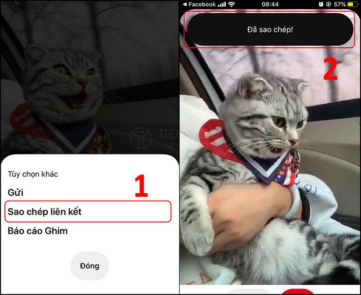 Cách Tải Video Trên Pinterest Về Điện Thoại Nhanh Nhất 14 Cách Tải Video Trên Pinterest Về Điện Thoại Nhanh Nhất