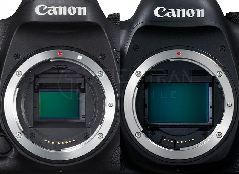 Canon Full Frame: Top 5 Máy Ảnh "Đáng Tiền" Nhất Hiện Nay