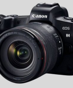 canon r4 2