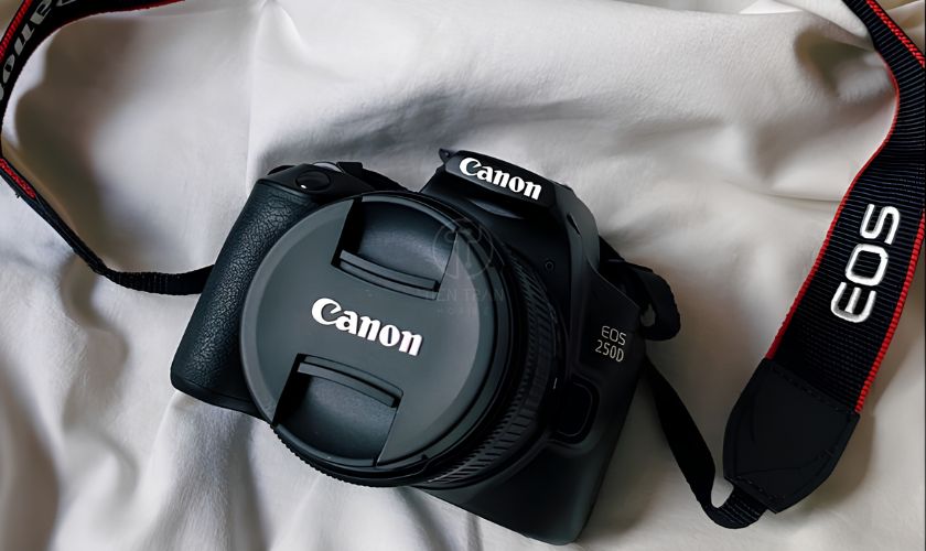 Bí Quyết Chỉnh Màu Trắng Hồng Trên Canon R50 Chụp Là Đẹp Ngay