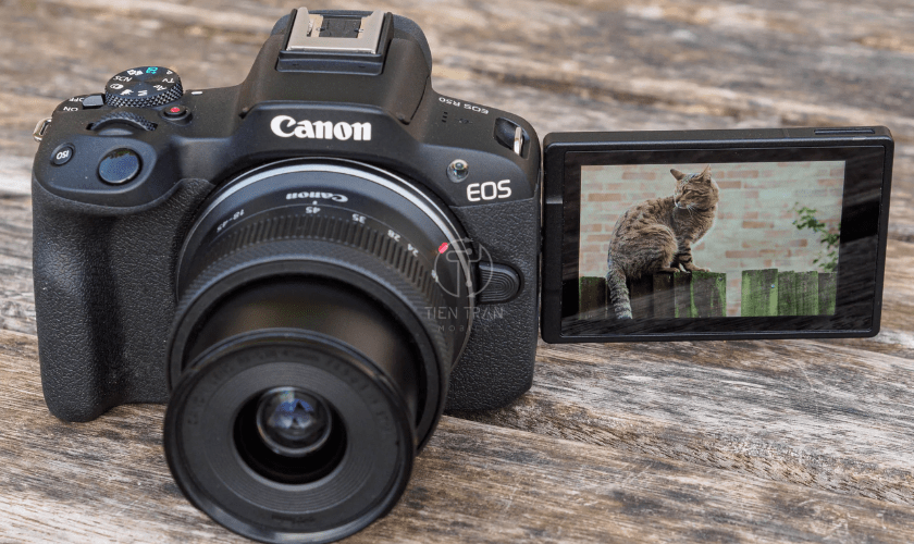 Hướng Dẫn Chi Tiết Cách Set Màu Nâu Tây Trên Canon R50