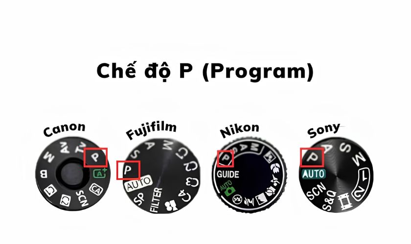 Chế độ P (program) trên máy ảnh