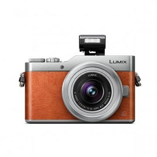 Lumix GF9 | Mirrorless 16MP | 4K | Selfie 180°